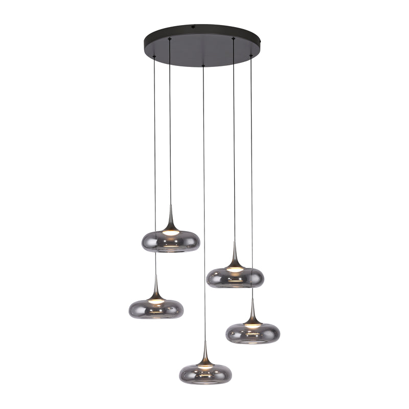 Lustra Paul Neuhaus POSH 5xLED Gri