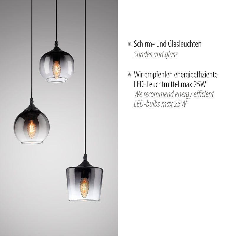 Lustra Paul Neuhaus ZEA 3xE14 Negru