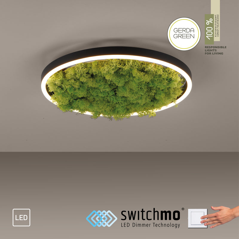 Plafoniera Zuma Line GREEN RITUS LED Muschi Natural
