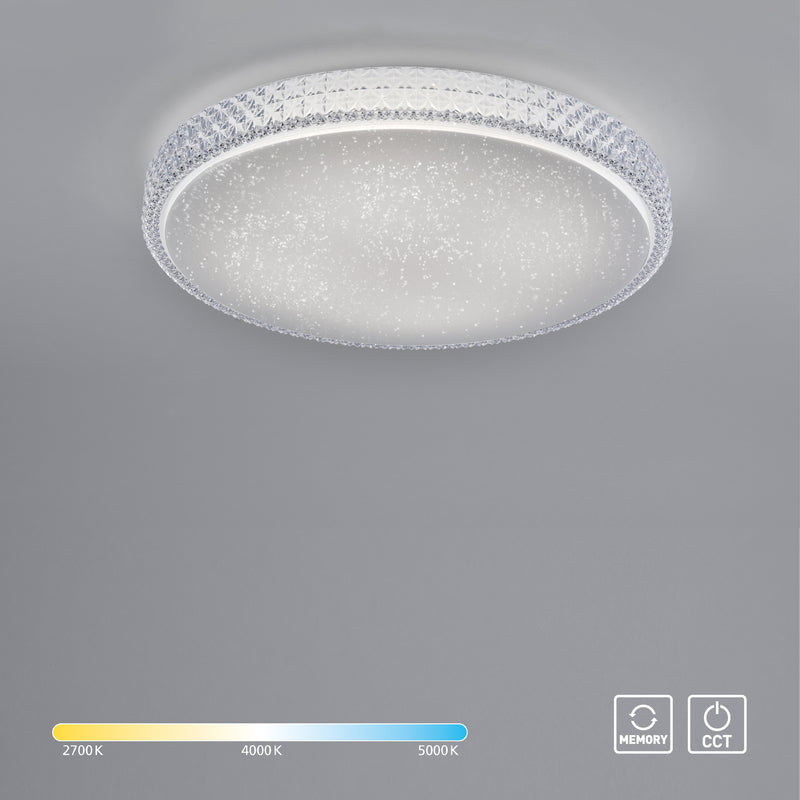 Plafoniera Paul Neuhaus FRIDA LED Transparent