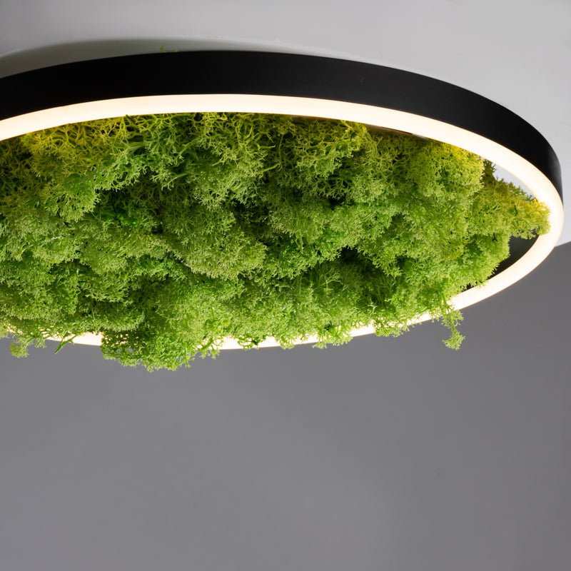 Plafoniera Zuma Line GREEN RITUS LED Muschi Natural