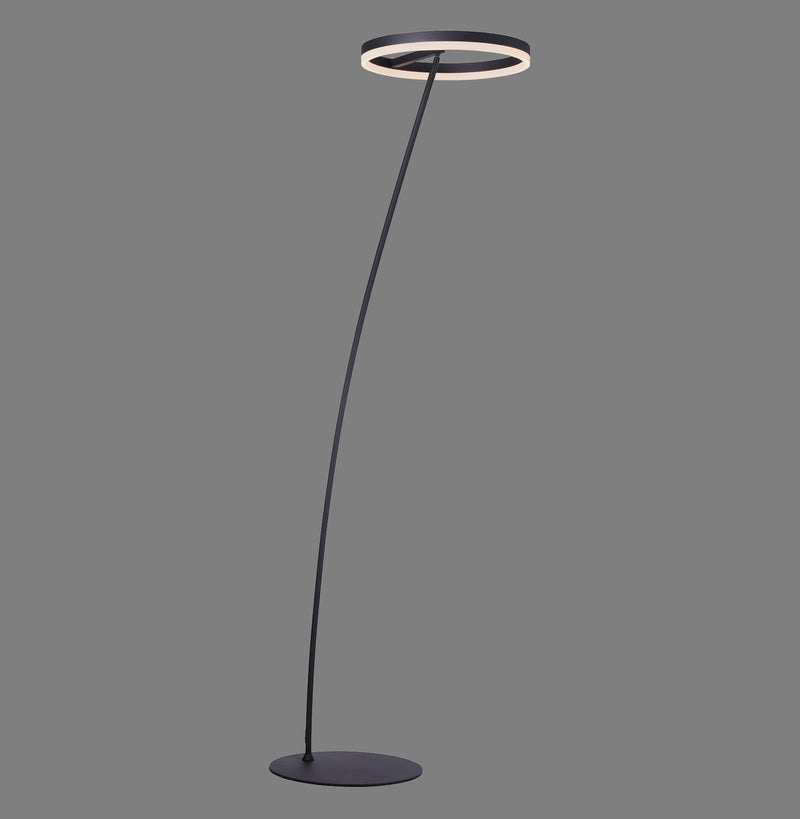 Lampadar Paul Neuhaus TITUS LED Antracit