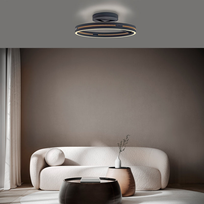 Plafoniera Paul Neuhaus PURE LOOP 2xLED Negru