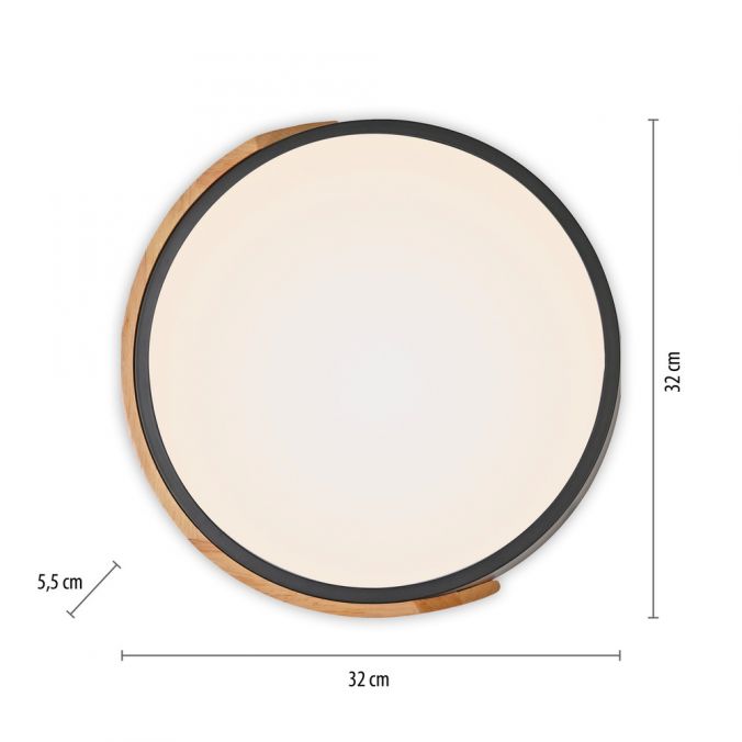 Plafoniera Zuma Line BILA LED Negru