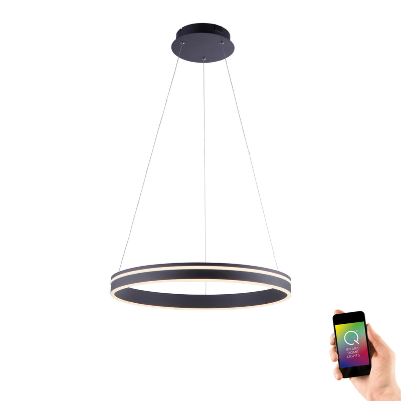 Lustra Paul Neuhaus Q-VITO LED Antracit