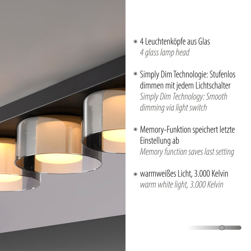 Plafoniera Paul Neuhaus RIKA 4xLED Negru
