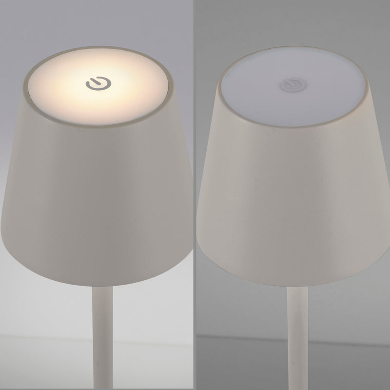 Lampa Exterior Paul Neuhaus EURIA LED Gri