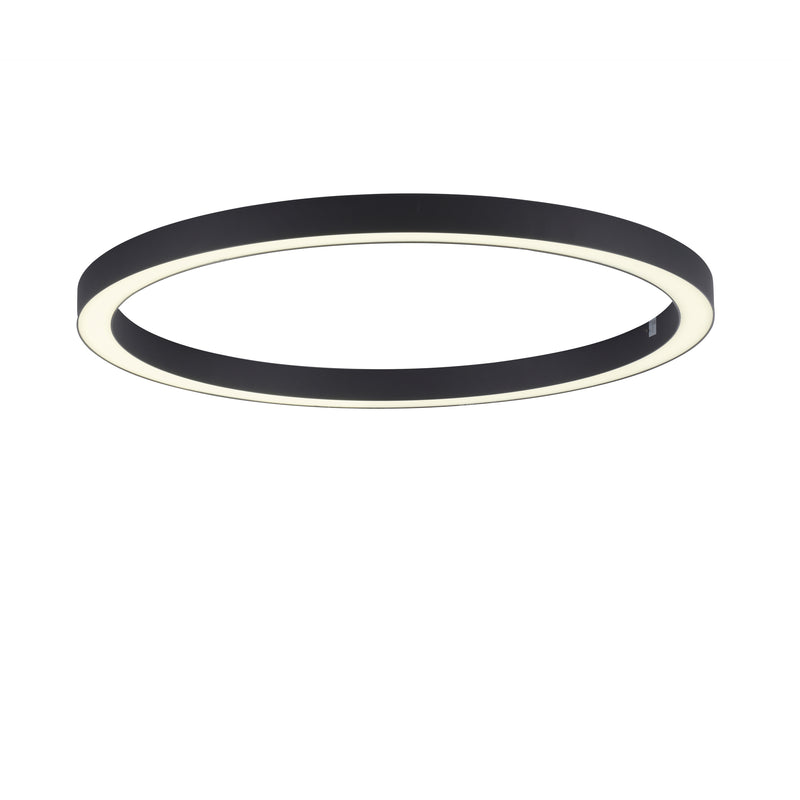 Lustra Paul Neuhaus PURE-LINES LED Antracit
