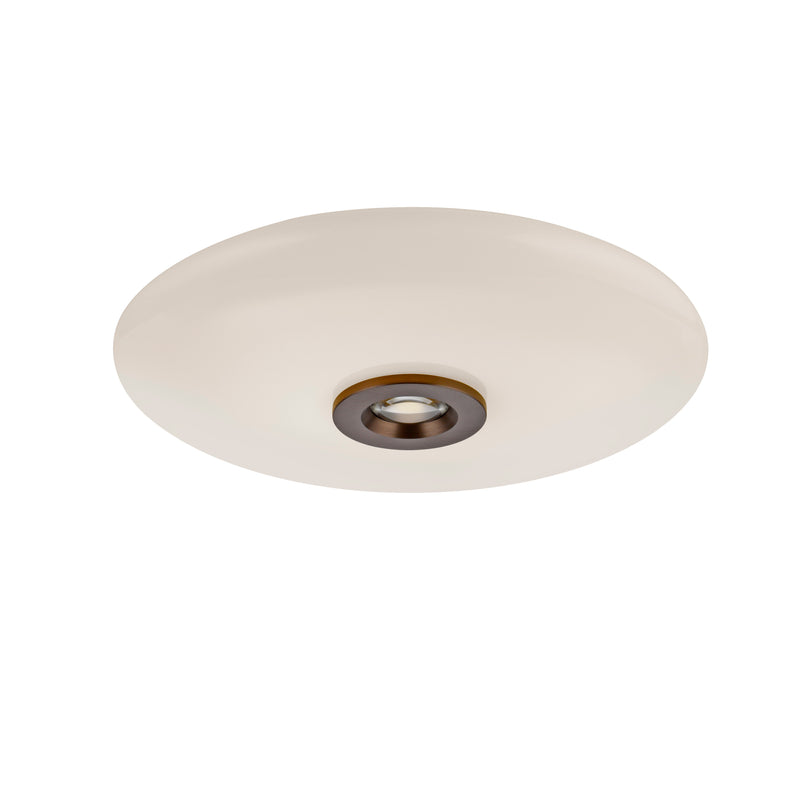 Plafoniera Paul Neuhaus PURE VITRUM 2xLED Maro Metalic