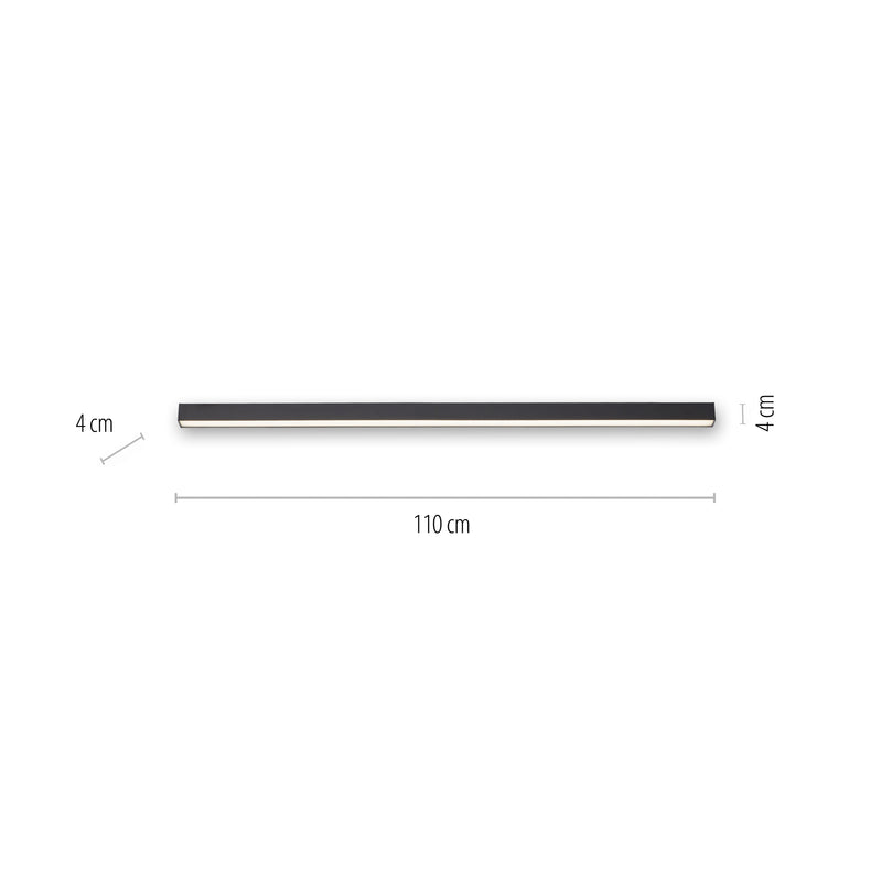 Plafoniera Paul Neuhaus PURE-LINES LED Antracit