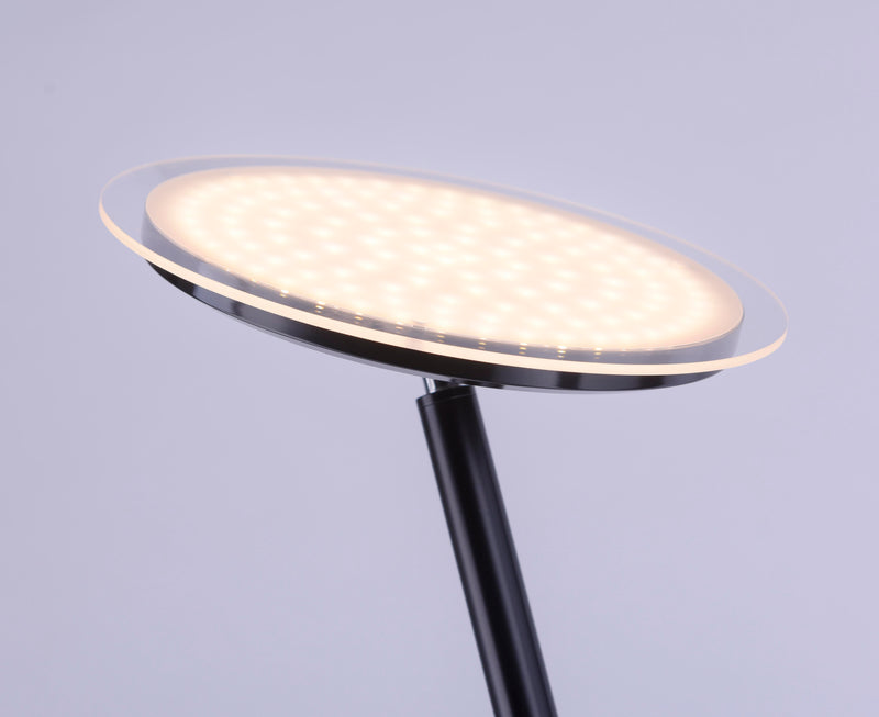Lampadar Paul Neuhaus HANS LED Negru