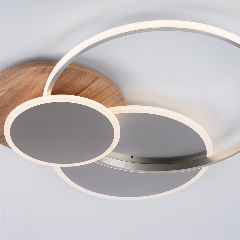 Plafoniera Paul Neuhaus PALMA LED Lemn