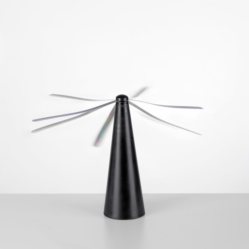 Lampa Exterior Paul Neuhaus SWAT Negru
