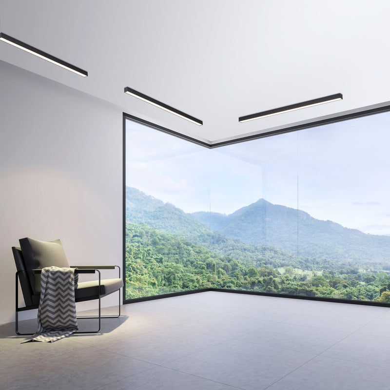 Plafoniera Paul Neuhaus PURE-LINES LED Antracit