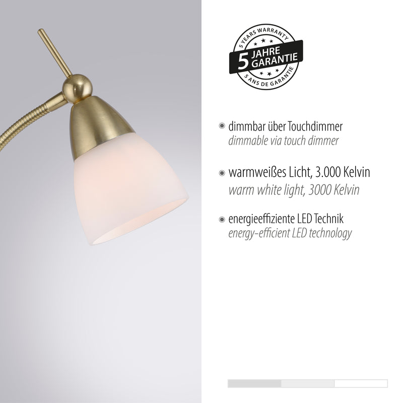 Lampadar Paul Neuhaus PINO 1xG9 Alama Mat