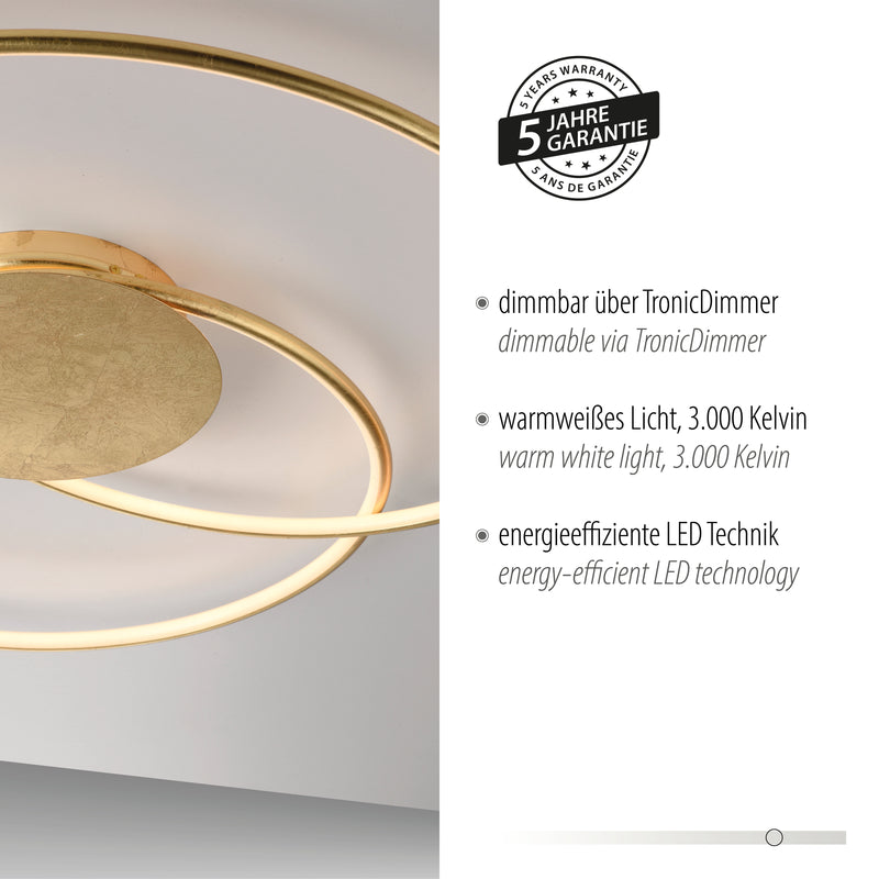 Plafoniera Paul Neuhaus NASTRO LED Auriu