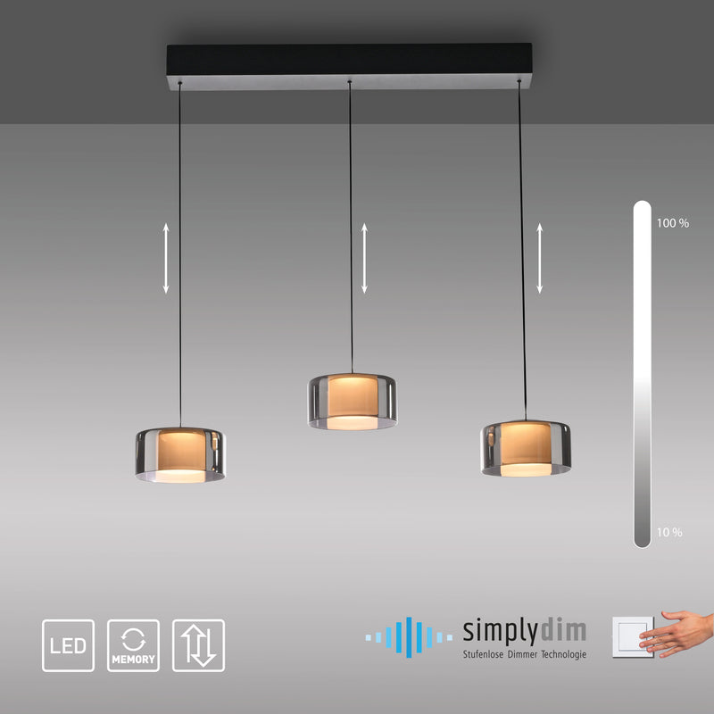 Lustra Paul Neuhaus RIKA 3xLED Negru