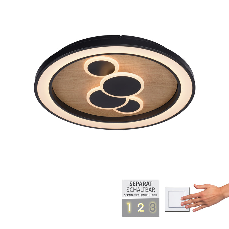 Plafoniera Paul Neuhaus ELIZA LED Negru