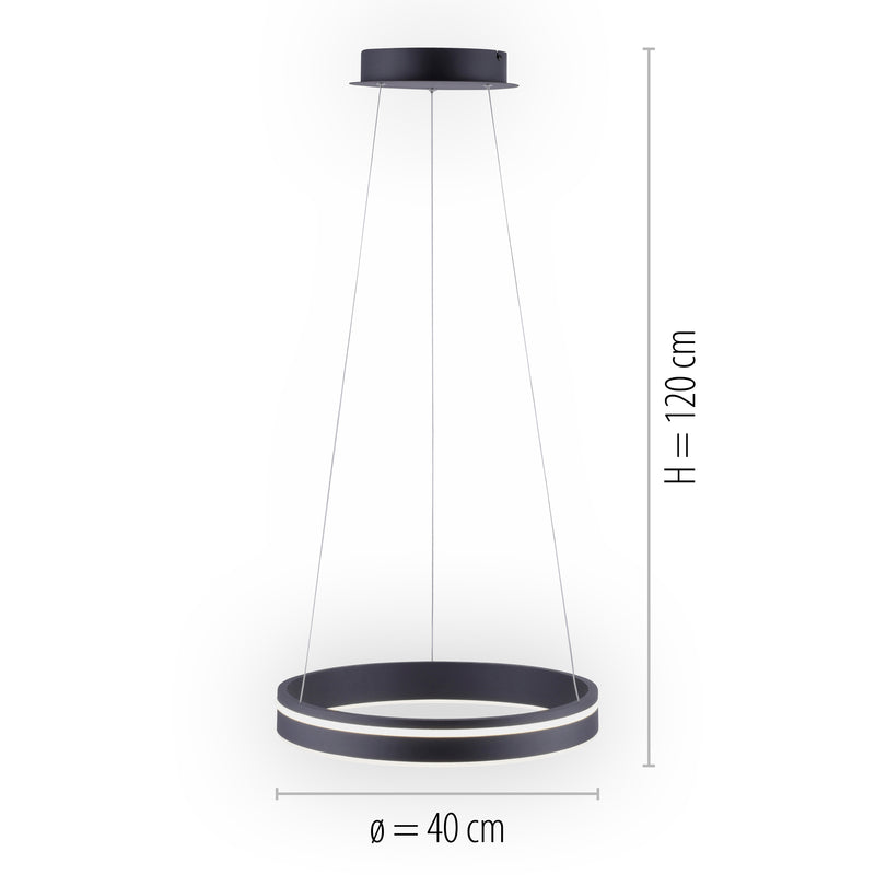 Lustra Paul Neuhaus Q-VITO LED Antracit