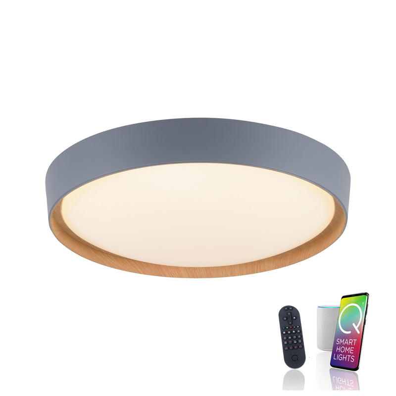 Plafoniera Paul Neuhaus Q-EMILIA LED Gri