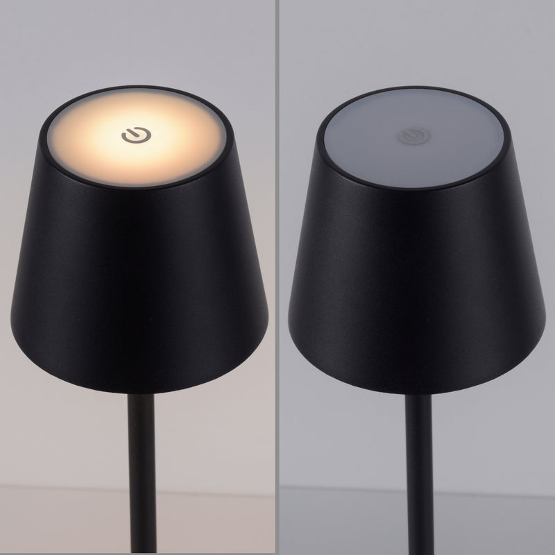 Lampa Exterior Paul Neuhaus EURIA LED Negru