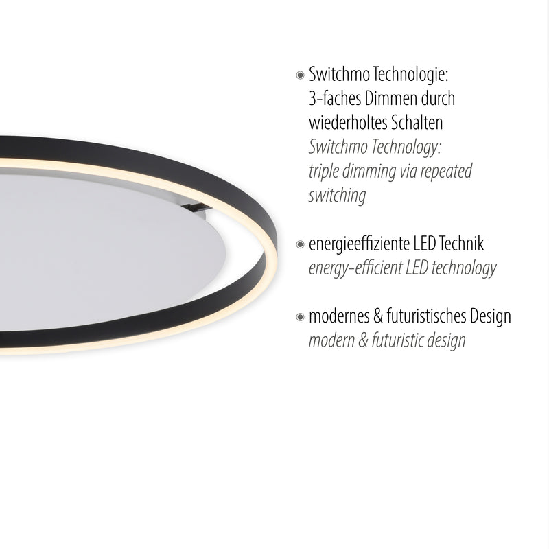 Plafoniera Paul Neuhaus RITUS LED Antracit