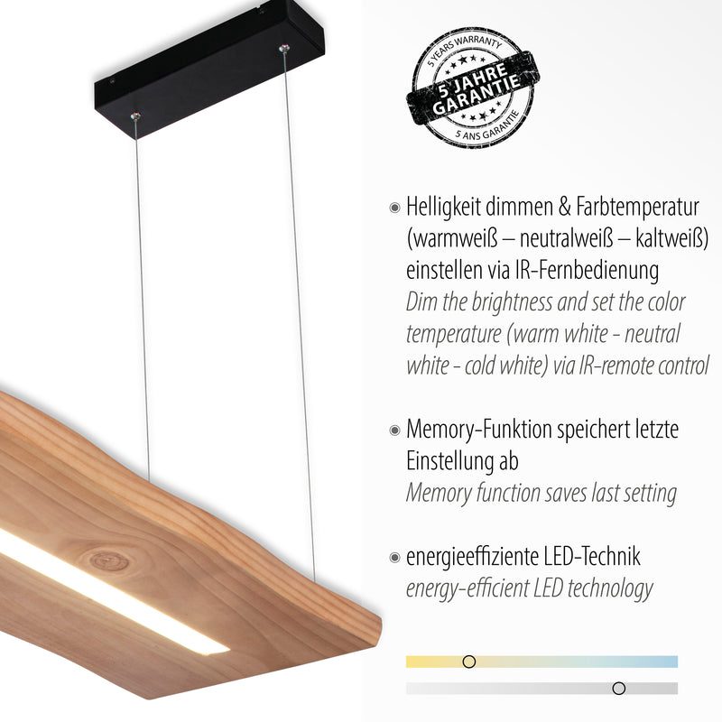 Lustra Paul Neuhaus PALMA LED Negru