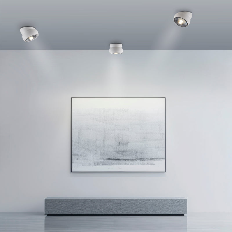 Plafoniera Paul Neuhaus PURE MOVE LED Alb