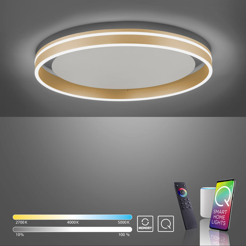 Plafoniera Paul Neuhaus Q-VITO LED Alama Mat