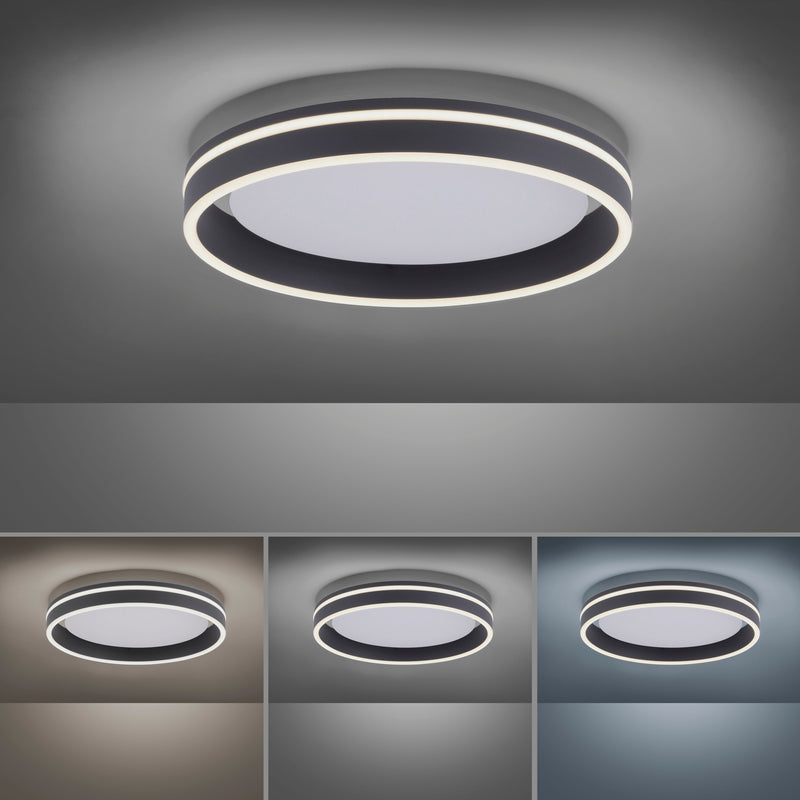 Plafoniera Paul Neuhaus Q-VITO LED Antracit