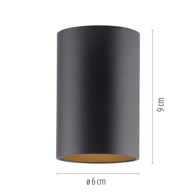 Plafoniera Paul Neuhaus PURE POINT LED Negru