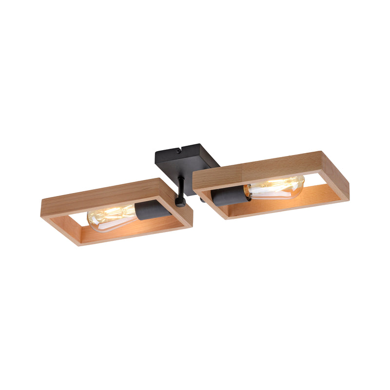 Plafoniera Paul Neuhaus FRANKY 2xE27 Negru