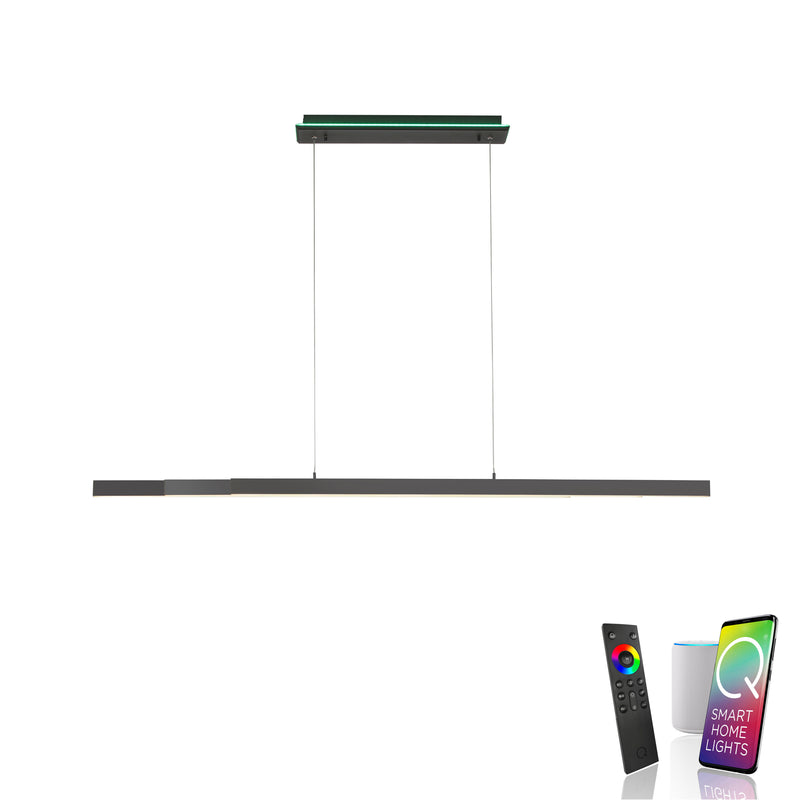 Lustra Paul Neuhaus Q-ARIAN 4xLED Antracit