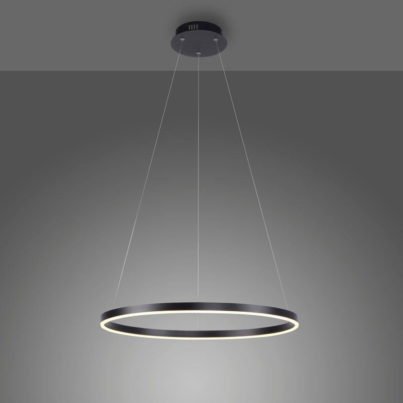Lustra Paul Neuhaus RITUS LED Antracit