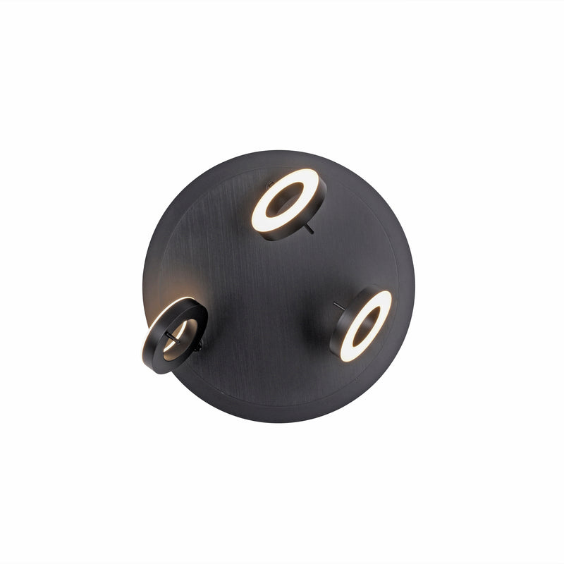 Plafoniera Paul Neuhaus SILEDA 3xLED Antracit