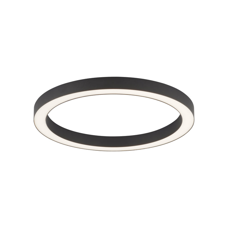 Plafoniera Paul Neuhaus PURE-LINES LED Antracit