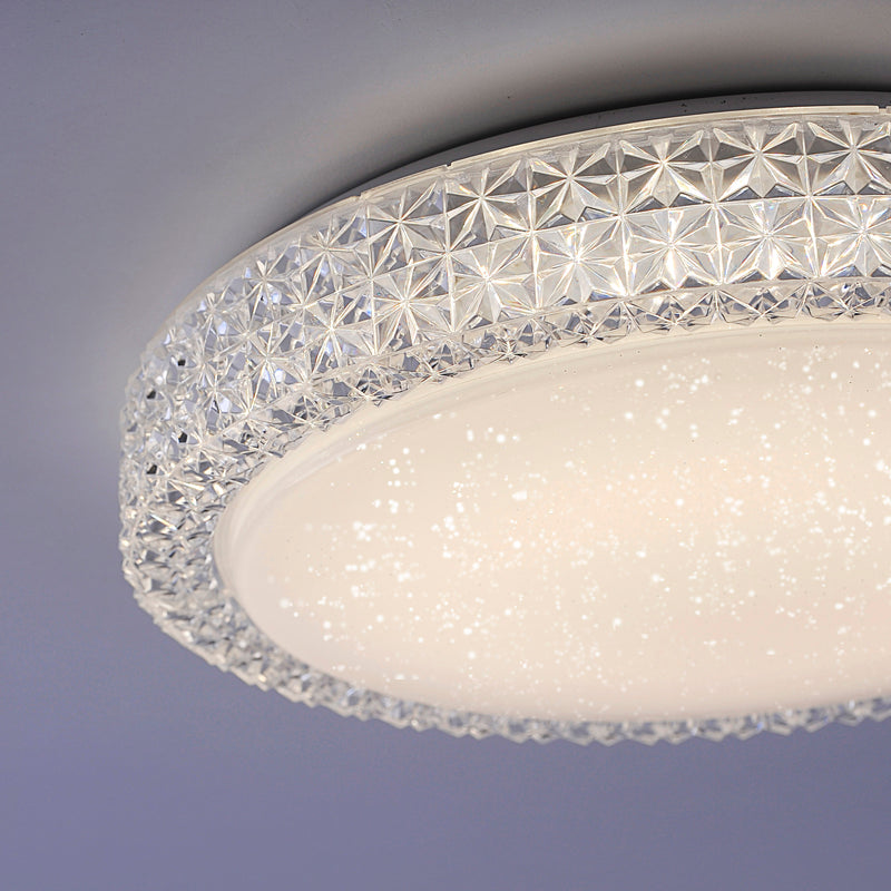 Plafoniera Paul Neuhaus FRIDA LED Transparent