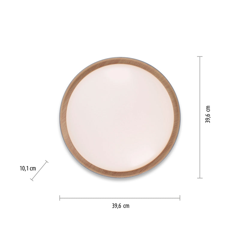 Plafoniera Paul Neuhaus EMILIA LED Gri