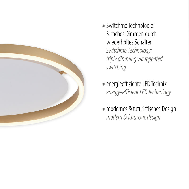 Plafoniera Paul Neuhaus RITUS LED Alama Mat