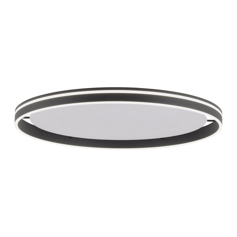 Plafoniera Paul Neuhaus Q-VITO LED Antracit
