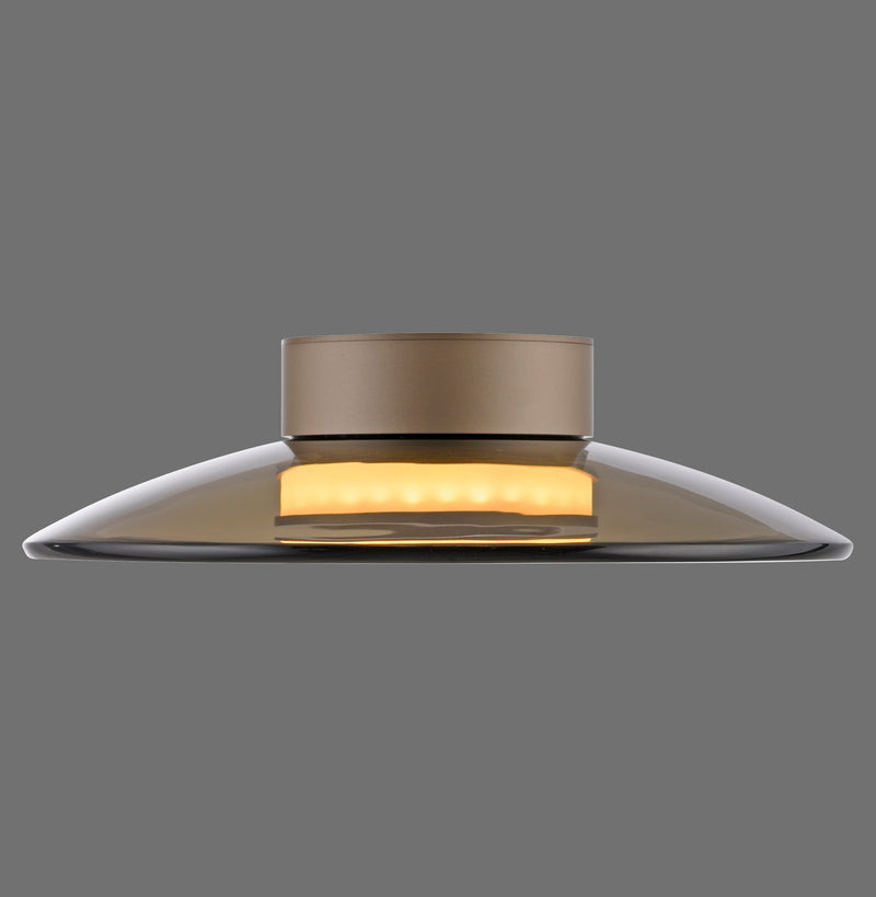 Plafoniera Paul Neuhaus PURE MOON 2xLED Maro