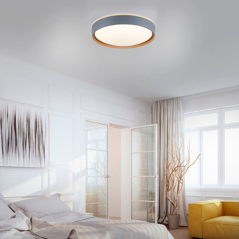 Plafoniera Paul Neuhaus Q-EMILIA LED Gri
