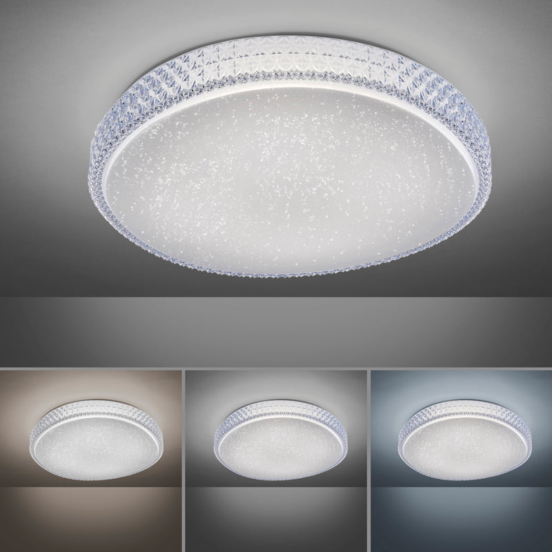 Plafoniera Paul Neuhaus FRIDA LED Transparent