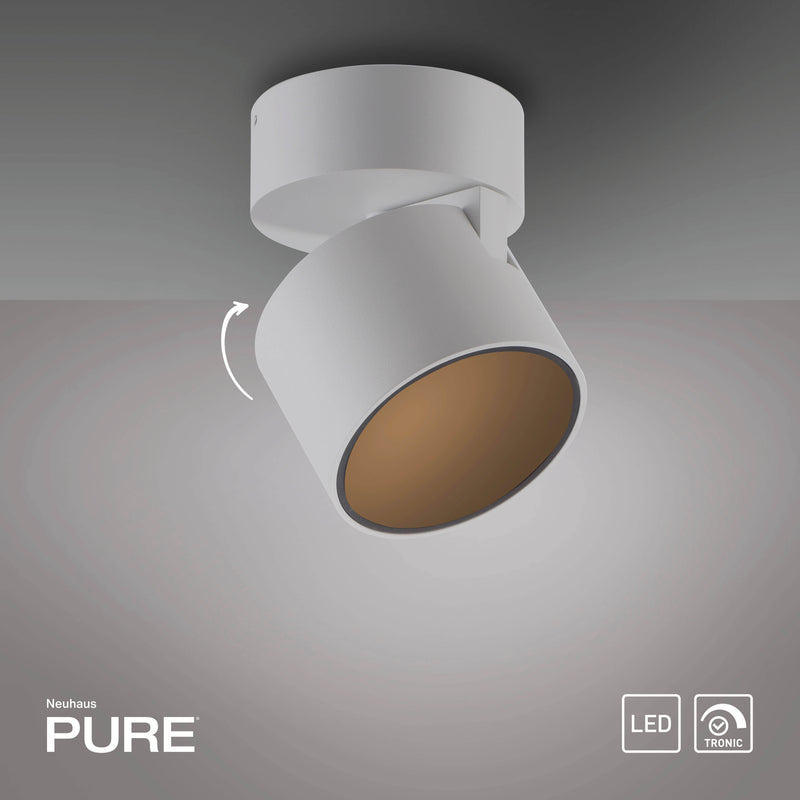 Plafoniera Paul Neuhaus PURE CUP LED Alb