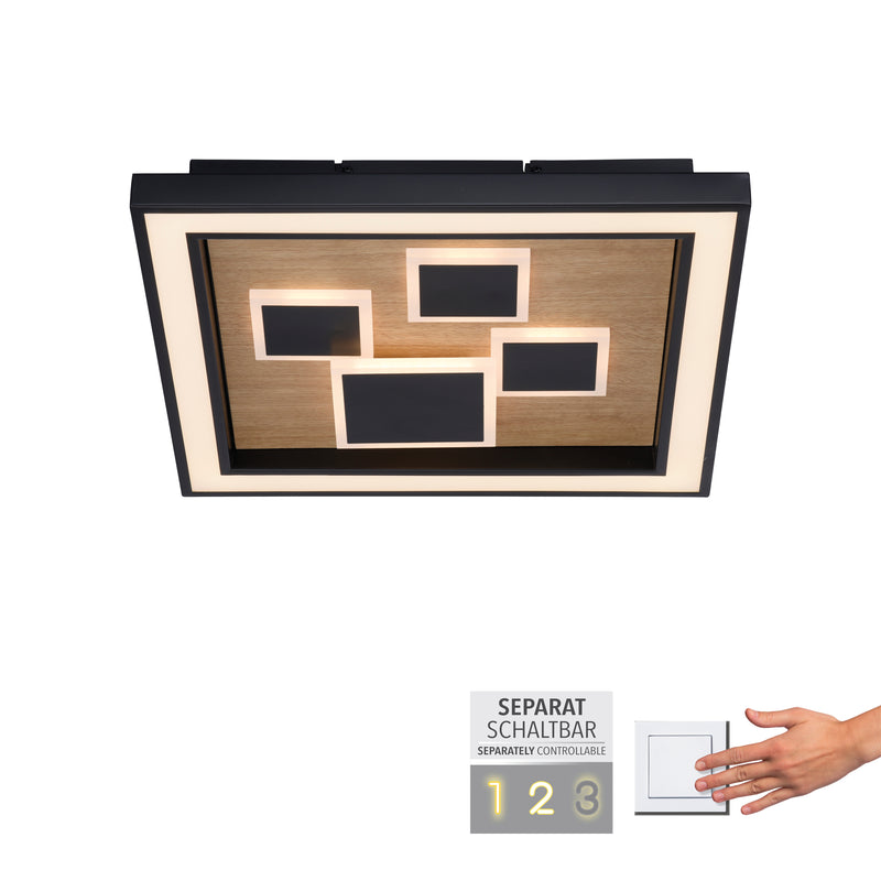 Plafoniera Paul Neuhaus ELIZA LED Negru