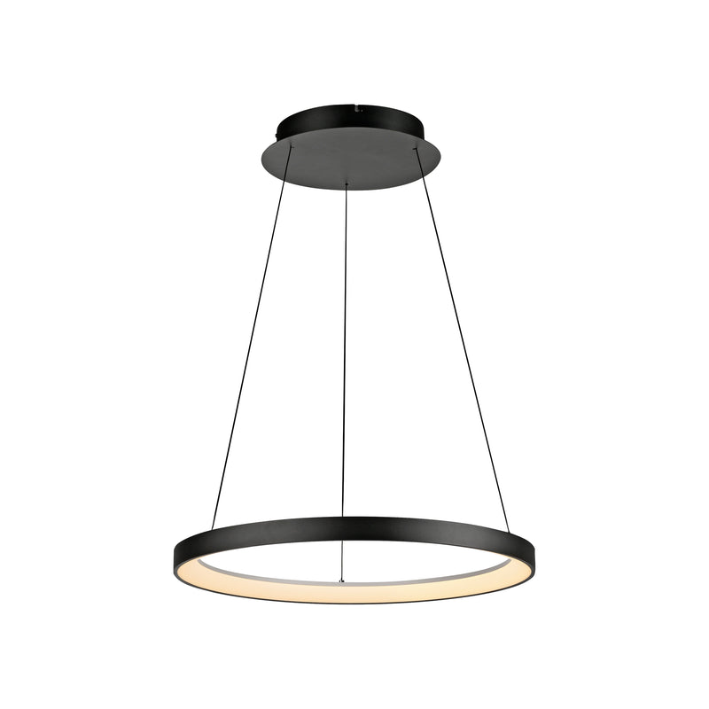 Lustra Paul Neuhaus HOOP LED Negru