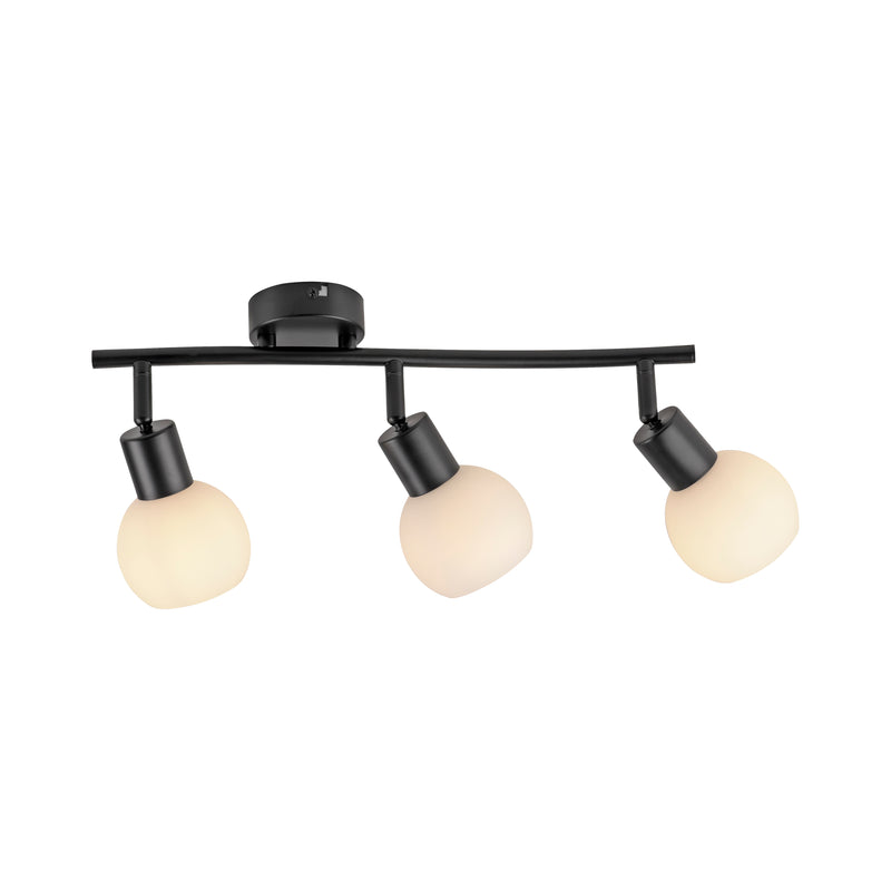 Plafoniera Paul Neuhaus LOKI 3xE14 Negru