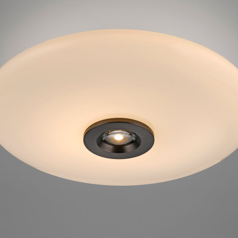 Plafoniera Paul Neuhaus PURE VITRUM 2xLED Maro Metalic