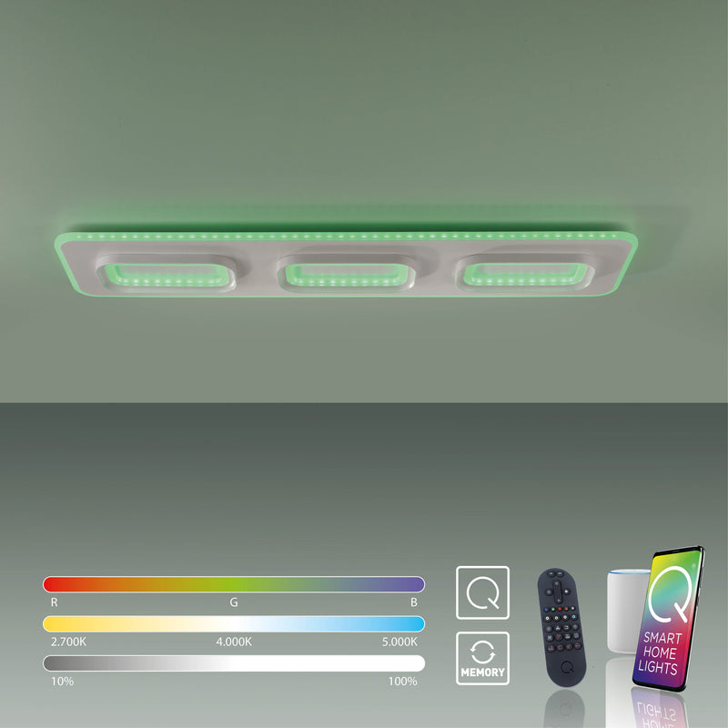 Plafoniera Paul Neuhaus Q-KALINA LED Alb