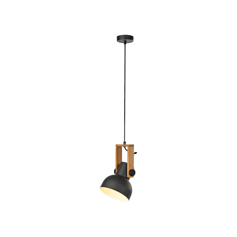 Lustra Paul Neuhaus CUP 2.0 1xE27 Negru
